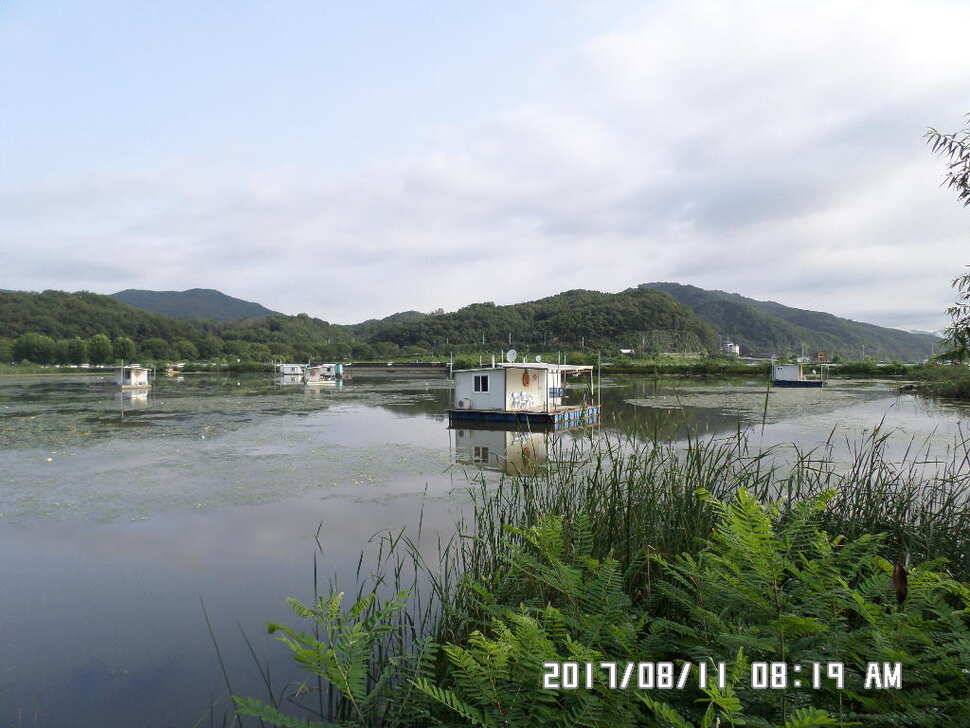 충주탄금호낚시대물39cm조황 (조황조행기 - 낚시점조황)