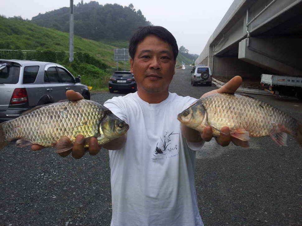 초 호황 청도권 대박 조황9치이상 200여수 (조황조행기 - 낚시점조황)