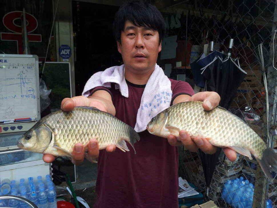 청도권아침9시조황 (조황조행기 - 낚시점조황)