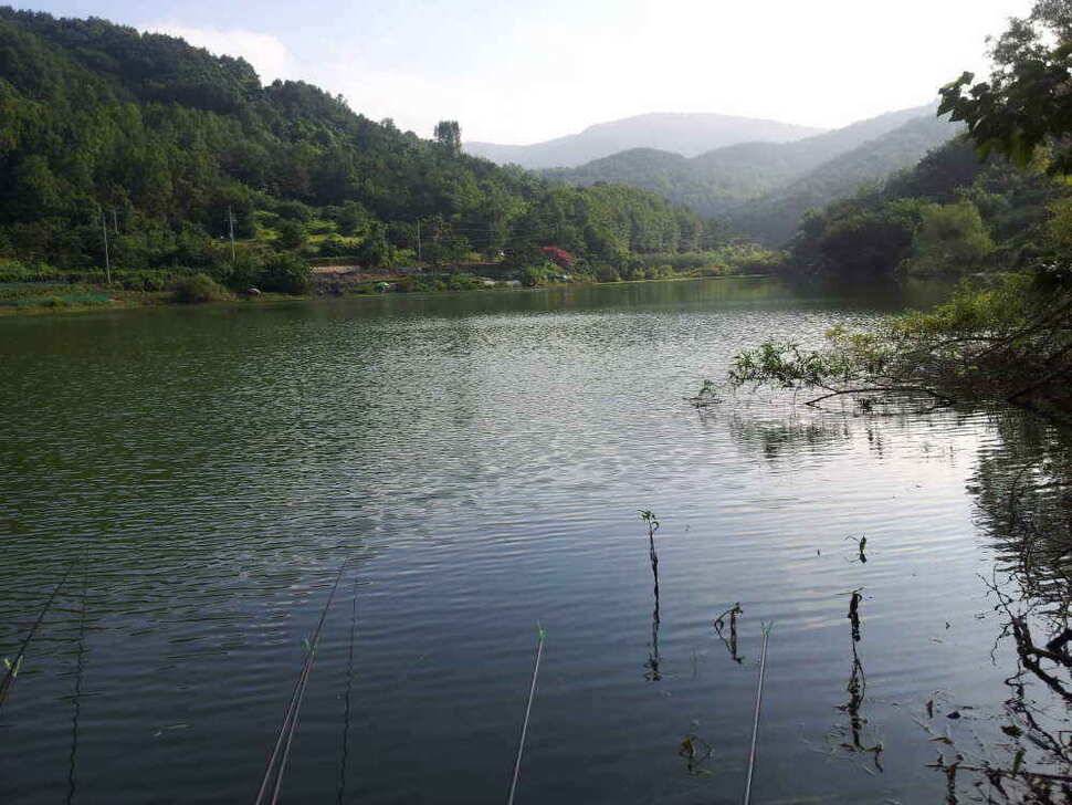 청도권 조황입니다 (조황조행기 - 낚시점조황)