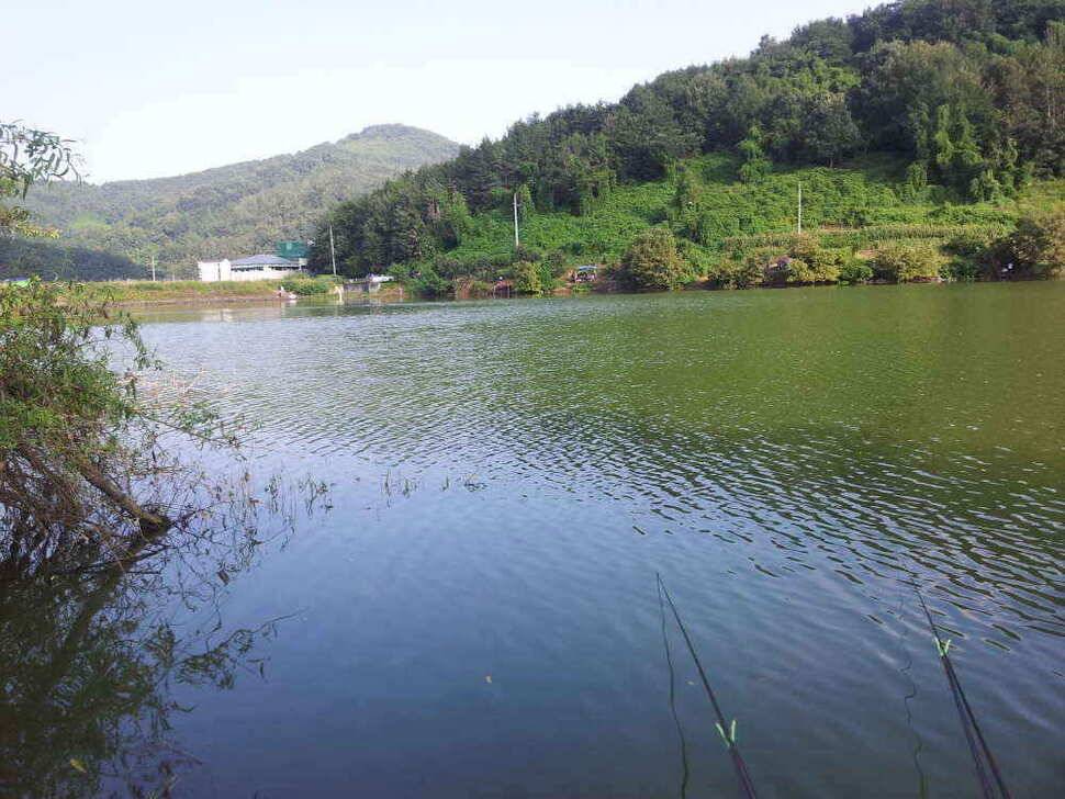 청도권 조황입니다 (조황조행기 - 낚시점조황)