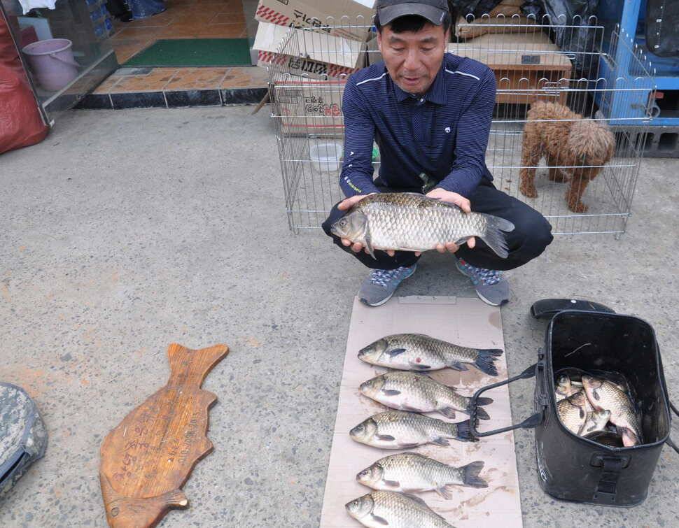 창녕권 5짜 4짜 마릿수 호조황 (조황조행기 - 낚시점조황)