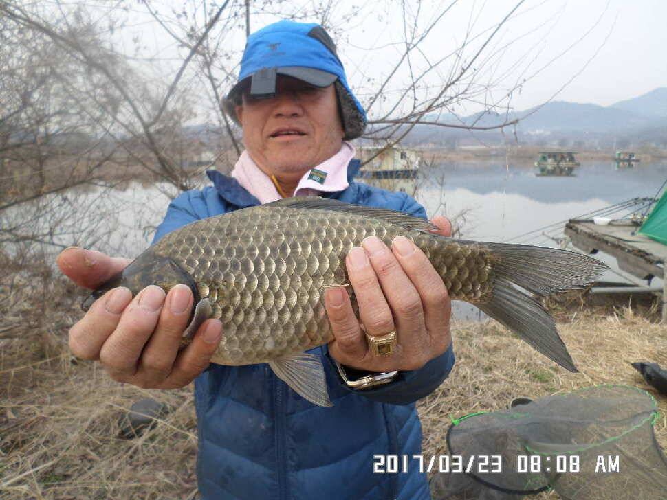 입석에4짜소식 전합니다 (조황조행기 - 낚시점조황)