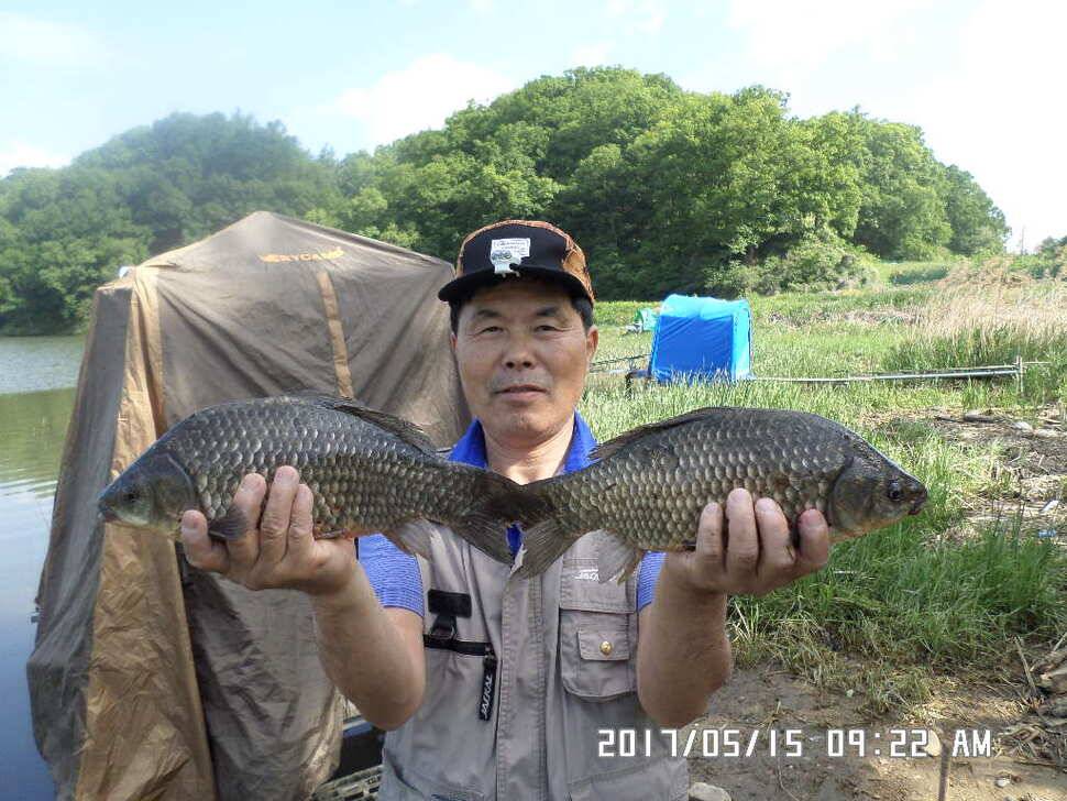 탄금호낚시대물445cm조황 (조황조행기 - 낚시점조황)