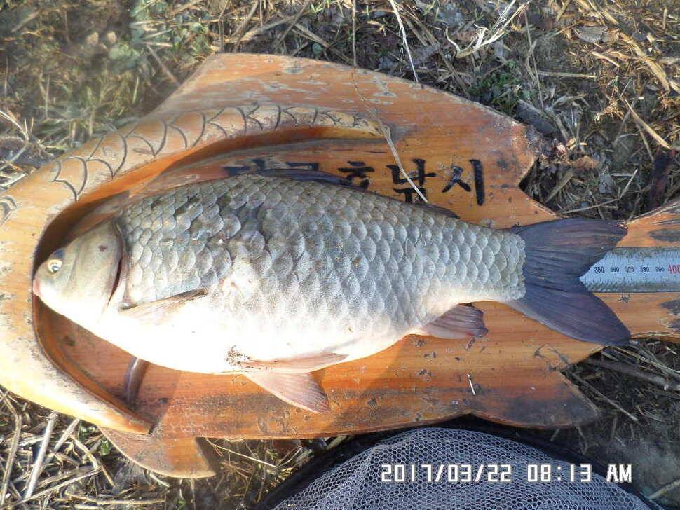 입석에4짜소식 전합니다 (조황조행기 - 낚시점조황)