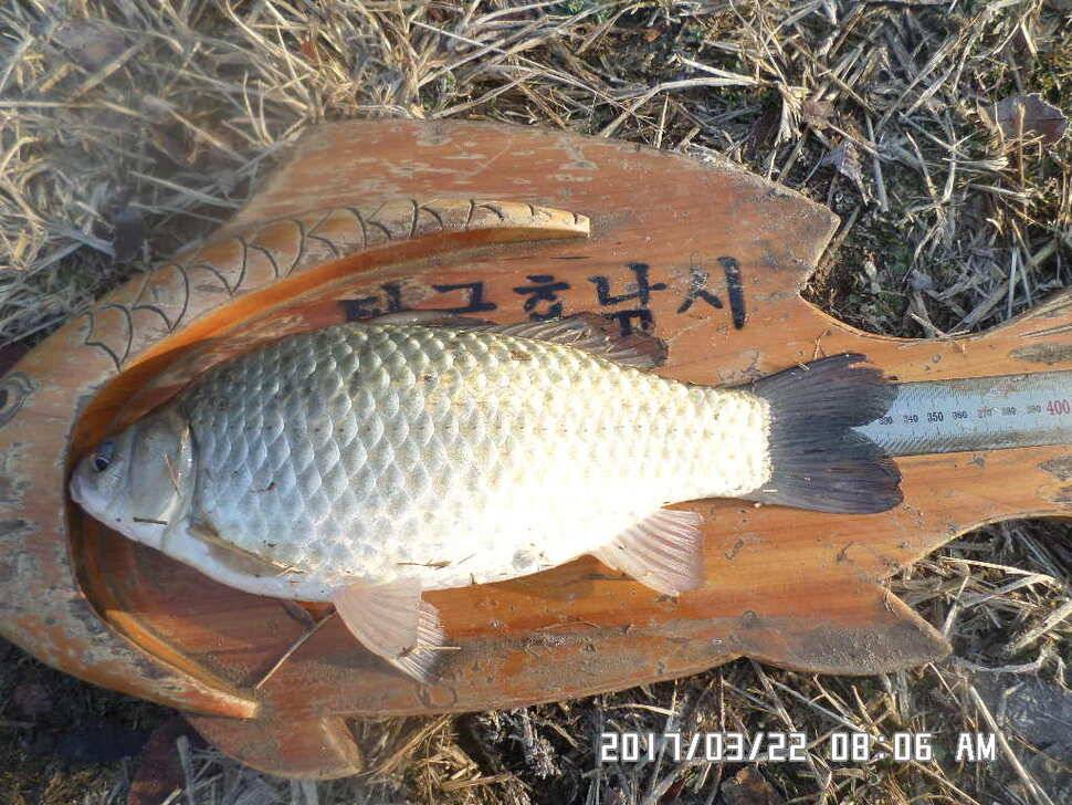 입석에4짜소식 전합니다 (조황조행기 - 낚시점조황)