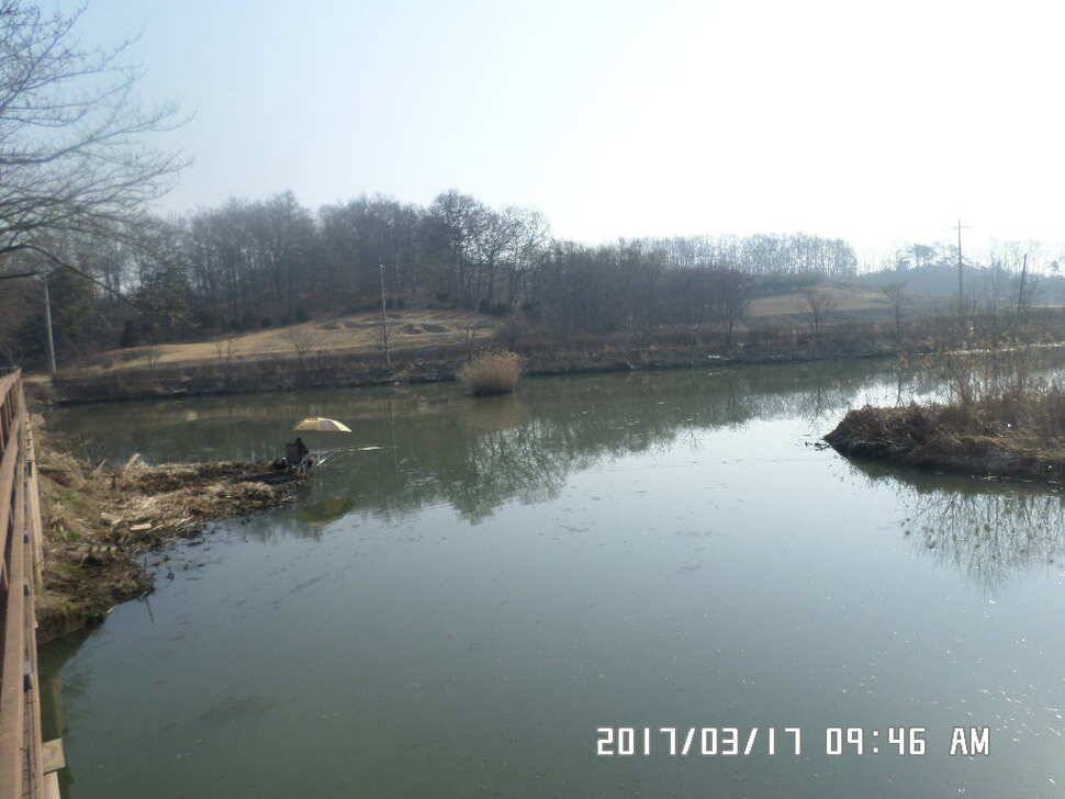 충주 탄금호 낚시조황 (조황조행기 - 낚시점조황)