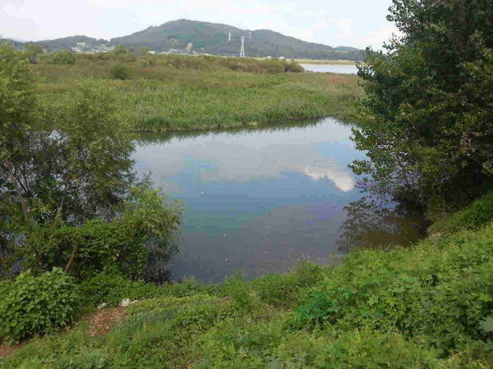 구미 낙동강 조황 (조황조행기 - 낚시점조황)