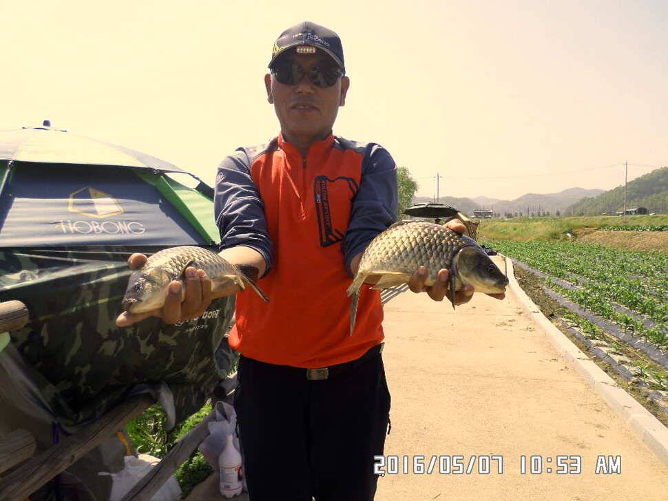 충주 탄금호 낚시조황 (조황조행기 - 낚시점조황)