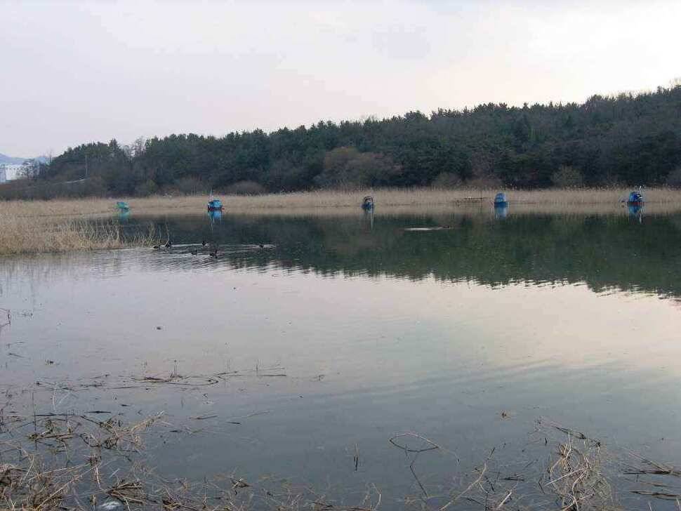 봄이 오는 길목에서 (조황조행기 - 낚시점조황)