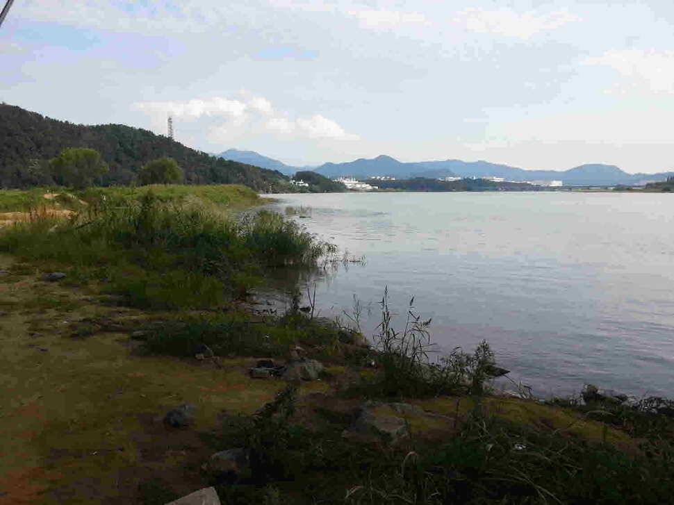 구미 낙동강 조황 (조황조행기 - 낚시점조황)