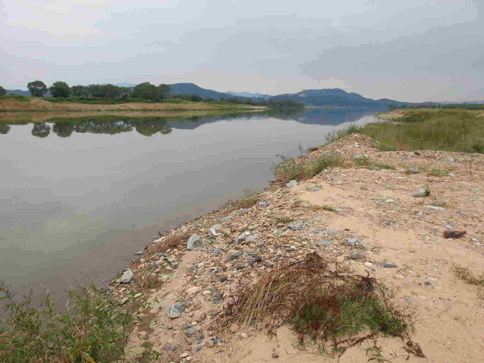 구미 낙동강 조황 (조황조행기 - 낚시점조황)