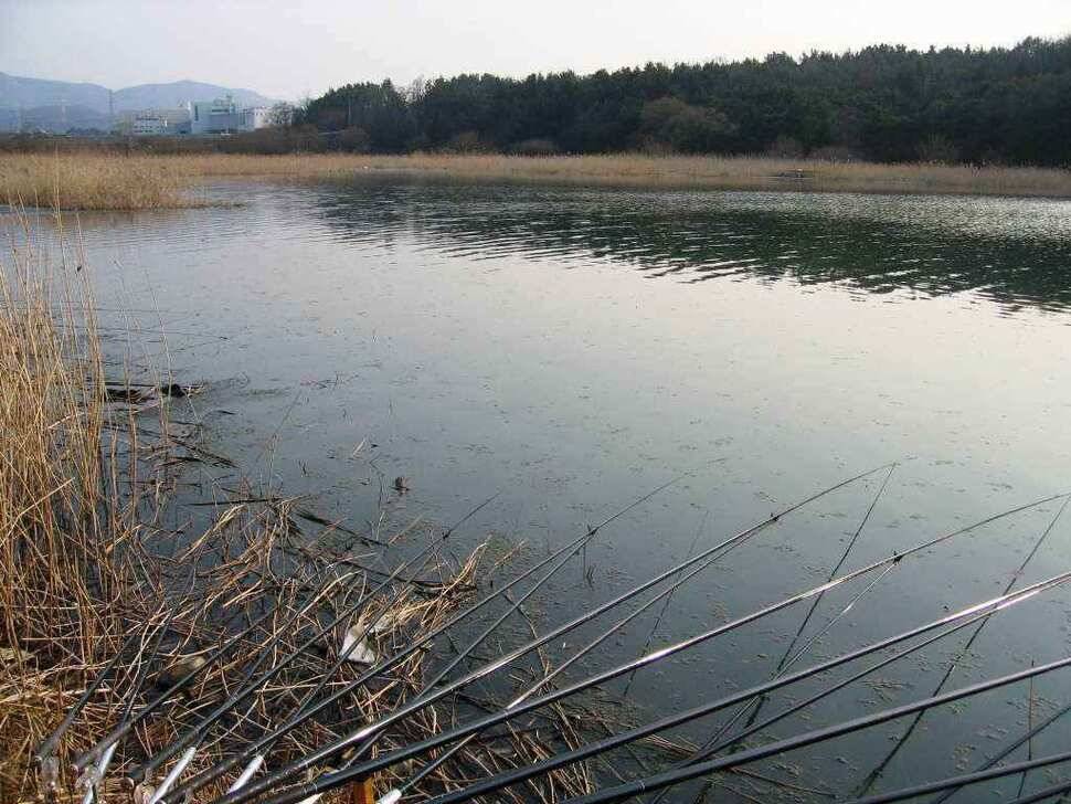 봄이 오는 길목에서 (조황조행기 - 낚시점조황)