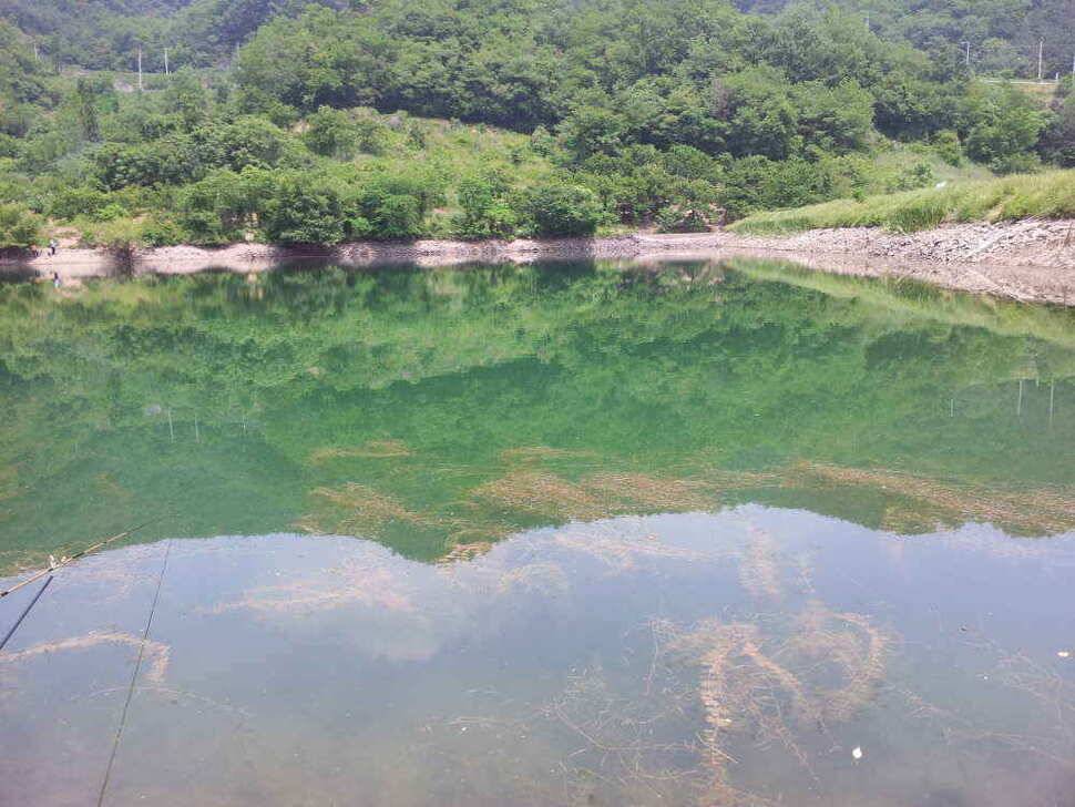 청도권 조황입니다4자턱걸이까지4수 (조황조행기 - 낚시점조황)
