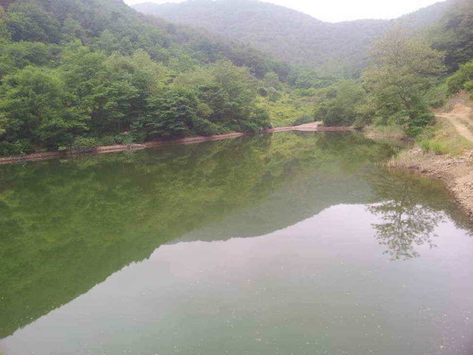 청도권 조황입니다4자턱걸이까지4수 (조황조행기 - 낚시점조황)