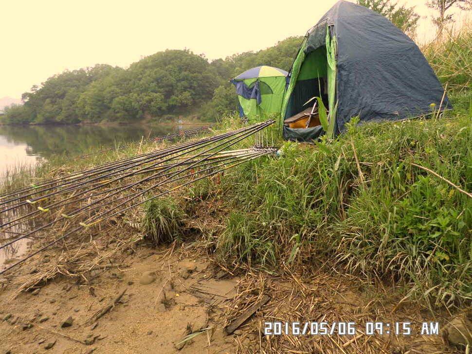 충주 탄금호 낚시조황 (조황조행기 - 낚시점조황)
