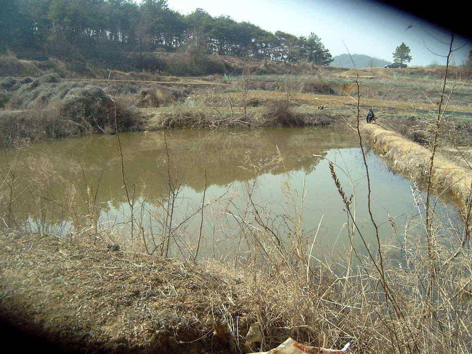 예쁜아담한월척을소개합니다요 (조황조행기 - 낚시점조황)