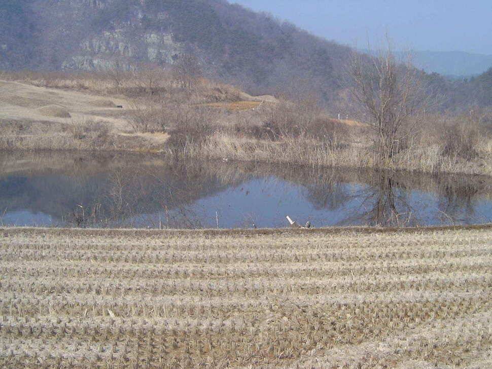 예쁜아담한월척을소개합니다요 (조황조행기 - 낚시점조황)