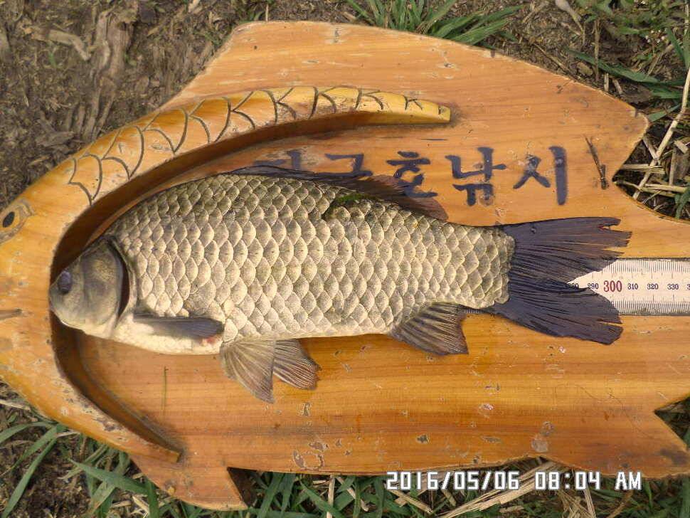 충주 탄금호 낚시조황 (조황조행기 - 낚시점조황)