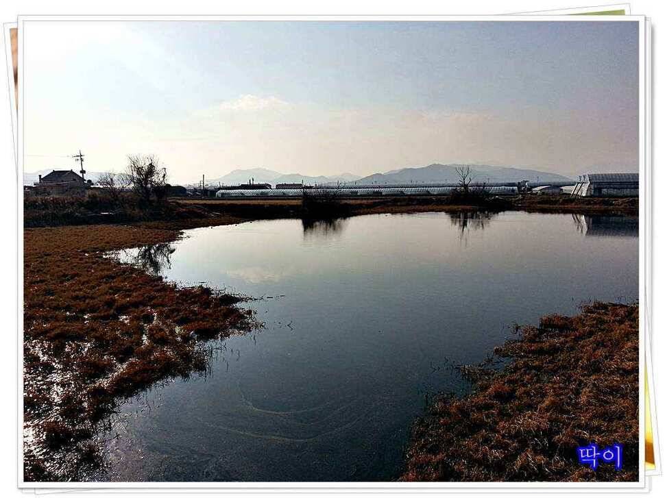 붕어가 보이기 시작합니다 (조황조행기 - 낚시점조황)