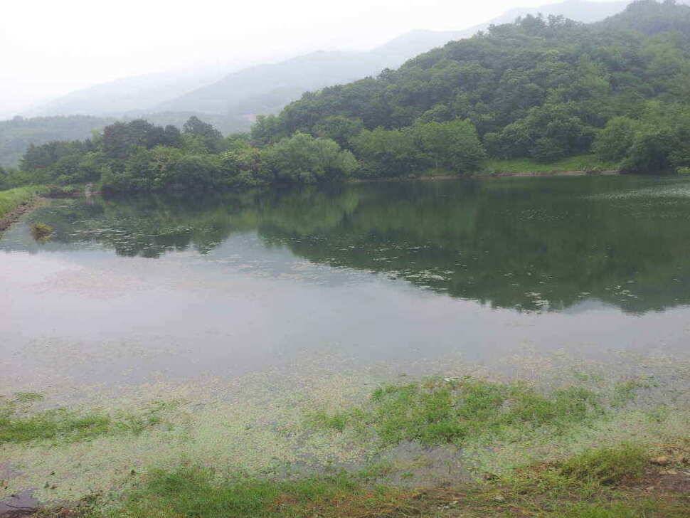 청도권 조황입니다4자턱걸이까지4수 (조황조행기 - 낚시점조황)