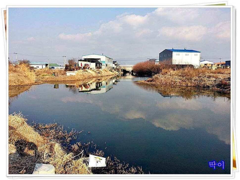 붕어가 보이기 시작합니다 (조황조행기 - 낚시점조황)