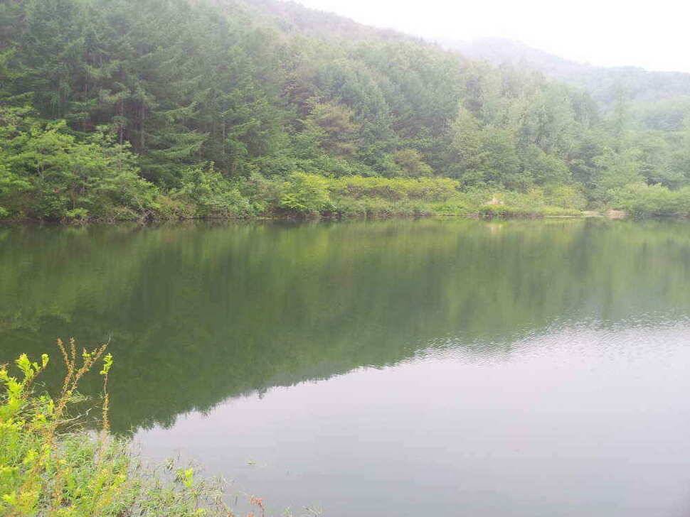 청도권 조황입니다4자턱걸이까지4수 (조황조행기 - 낚시점조황)