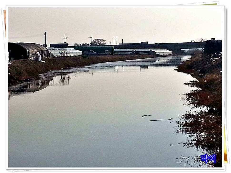 붕어가 보이기 시작합니다 (조황조행기 - 낚시점조황)