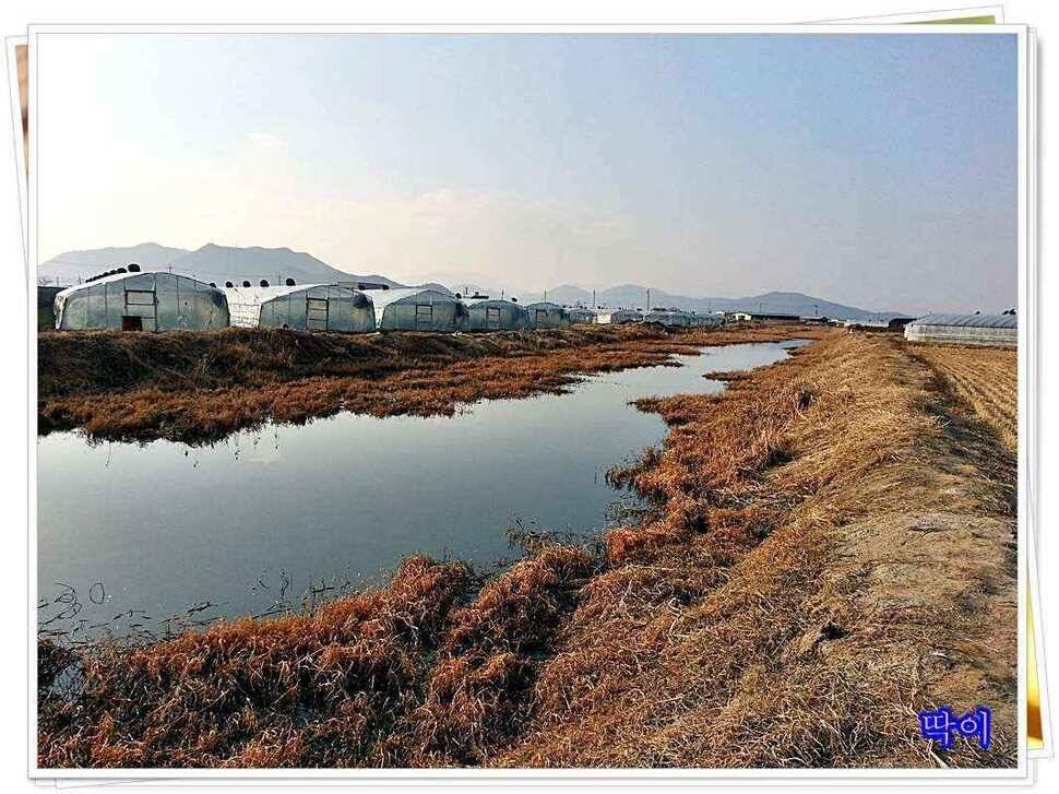 붕어가 보이기 시작합니다 (조황조행기 - 낚시점조황)