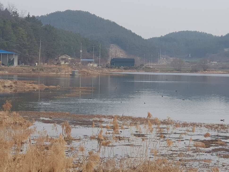 창녕권 조황 살아 나고 있습니다 (조황조행기 - 낚시점조황)