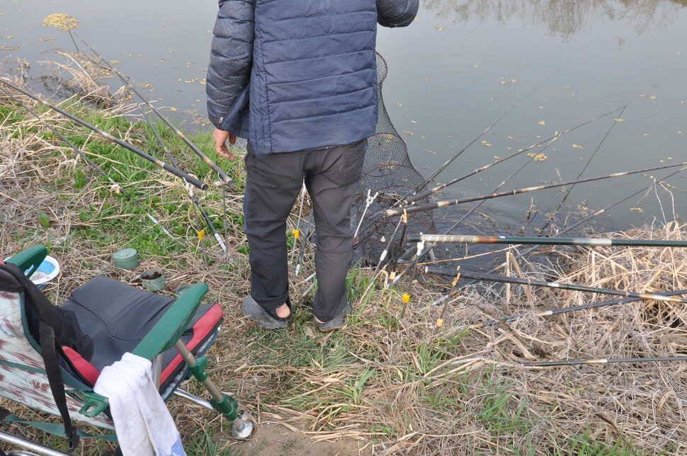 창녕권 485484742 호조황 (조황조행기 - 낚시점조황)