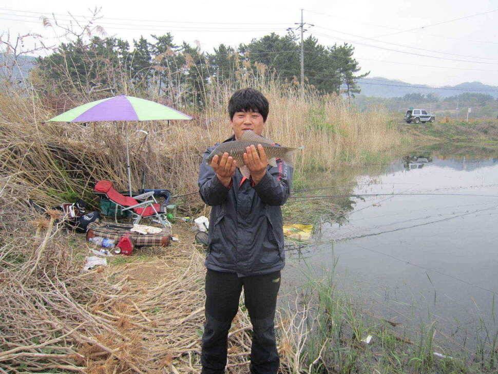 영천ic권 대물조황입니다 (조황조행기 - 낚시점조황)