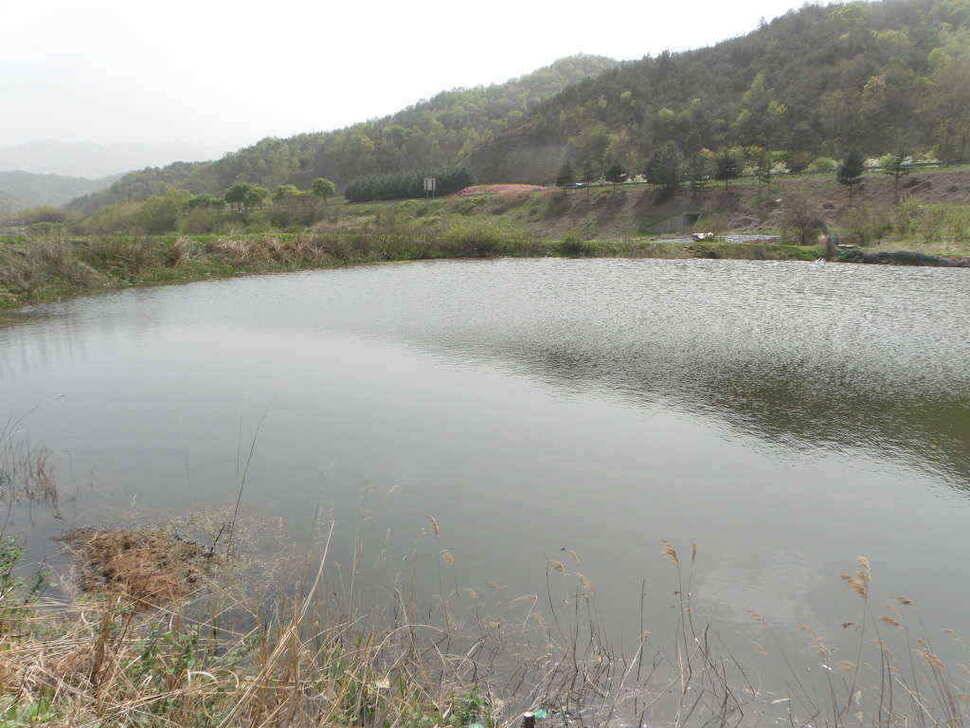주중 조황및 무명소류지사진 (조황조행기 - 낚시점조황)