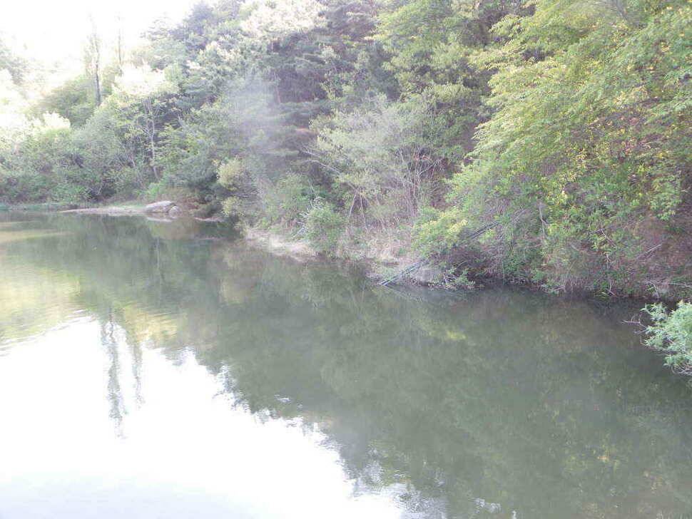 주중 조황및 무명소류지사진 (조황조행기 - 낚시점조황)