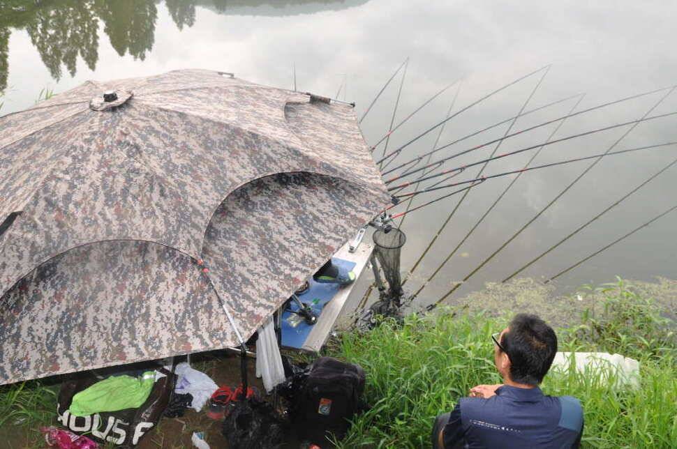 창녕권 조황 (조황조행기 - 낚시점조황)