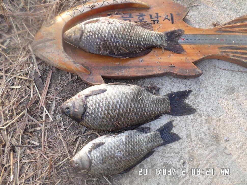 충주 탄금호 낚시조황 (조황조행기 - 낚시점조황)