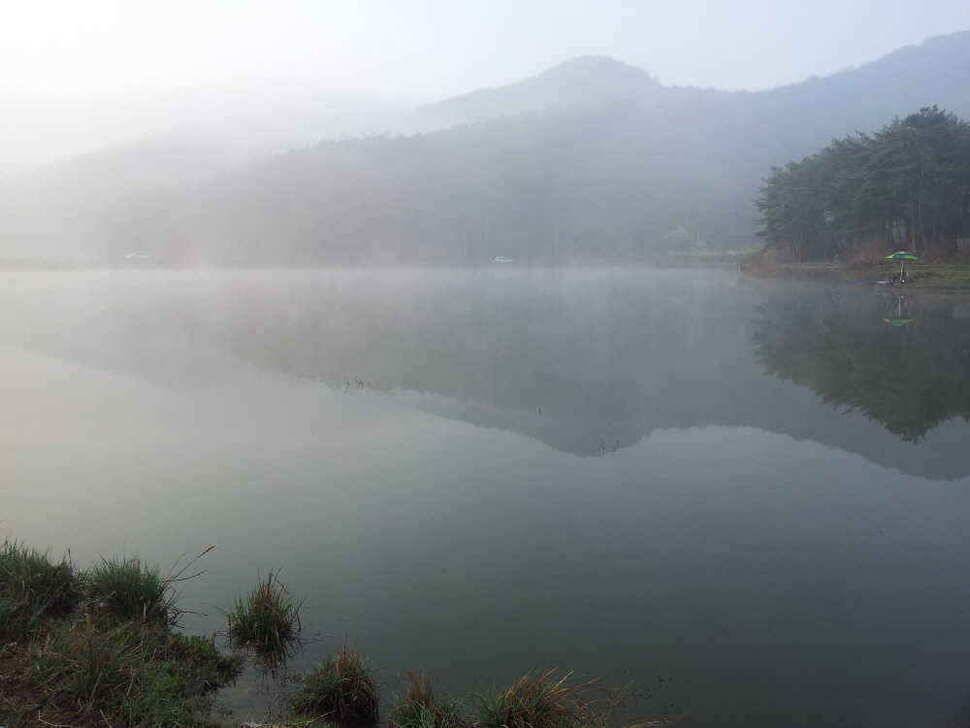 청도권 4자 4마리 37 월척 조황입니다 (조황조행기 - 낚시점조황)