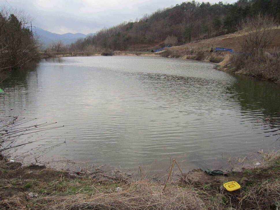 영천ic낚시 월척급 조황입니다 (조황조행기 - 낚시점조황)