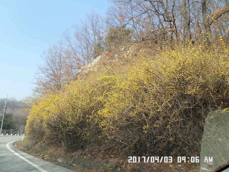 입석에4짜와2cm모자라난 아쉬운4짜 (조황조행기 - 낚시점조황)