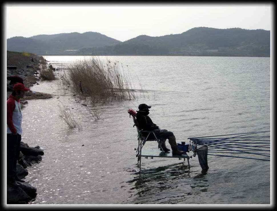 고흥만 조황입니다 (조황조행기 - 낚시점조황)
