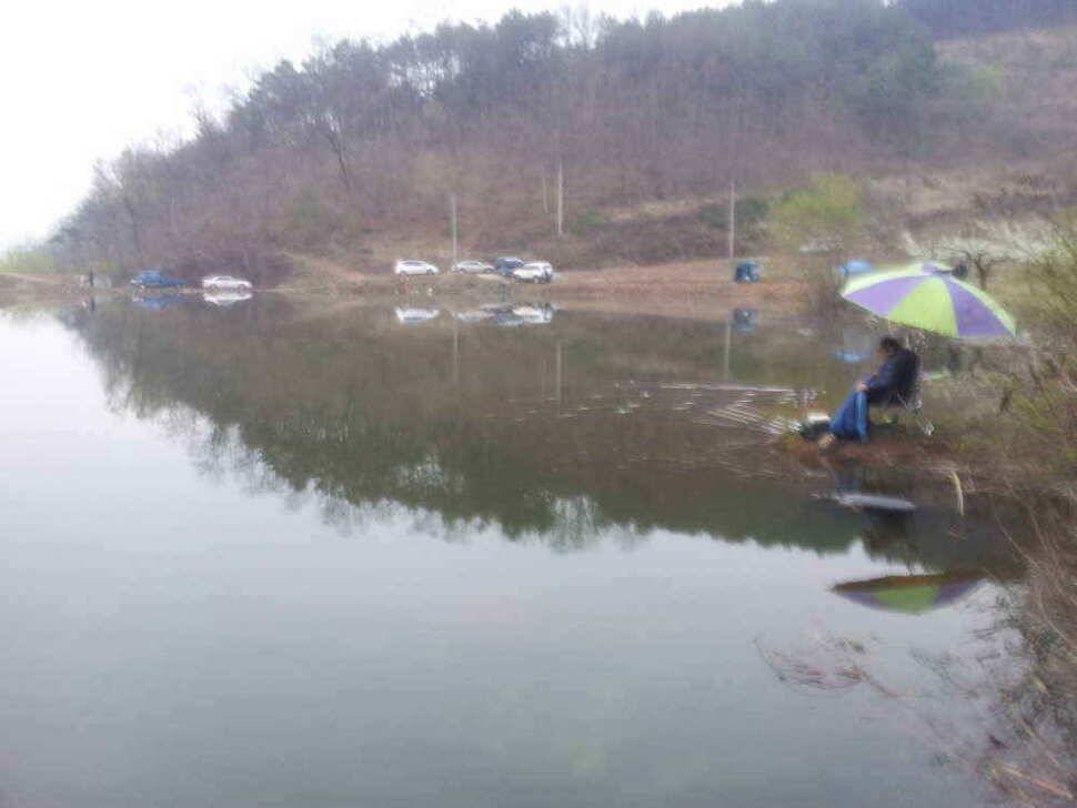 청도권 4자 4마리 37 월척 조황입니다 (조황조행기 - 낚시점조황)