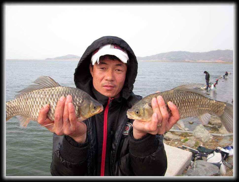 고흥만 조황입니다 (조황조행기 - 낚시점조황)