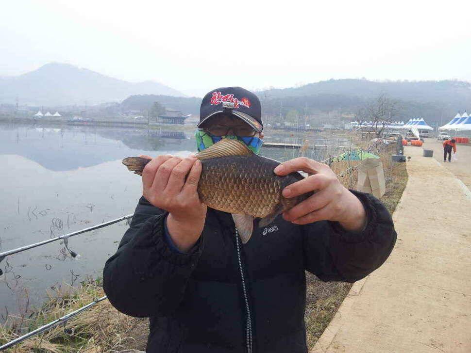 청도권 4자 4마리 37 월척 조황입니다 (조황조행기 - 낚시점조황)