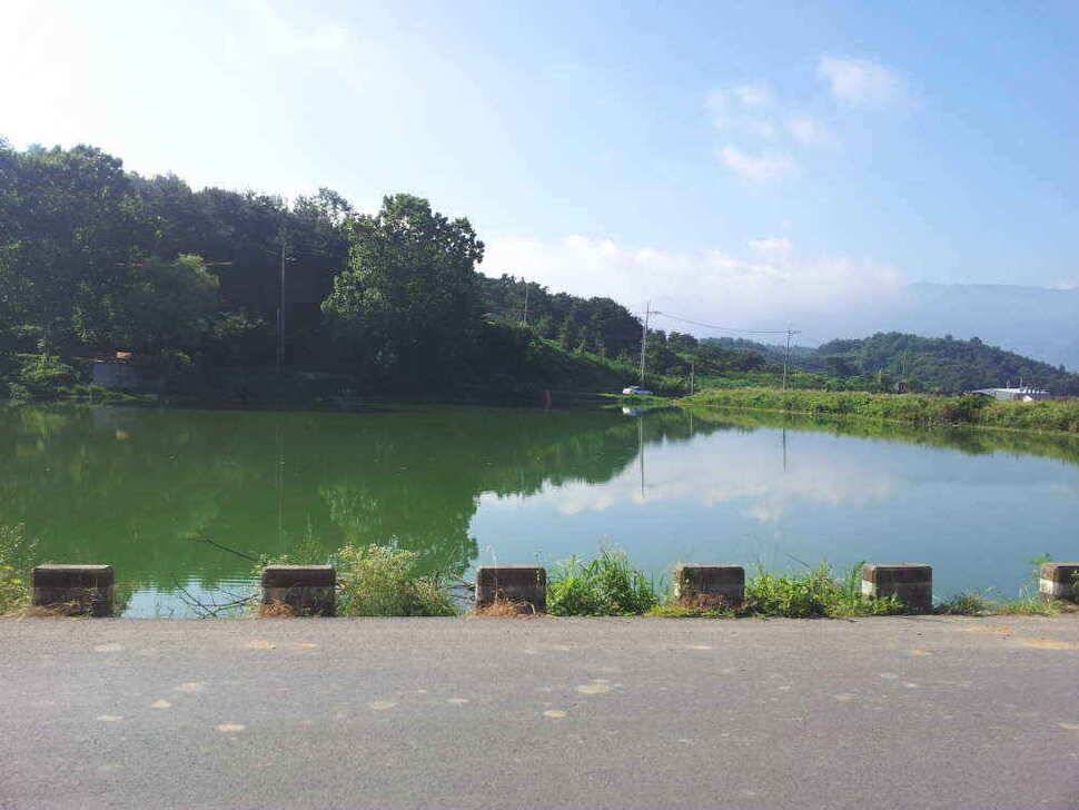 청도권조황입니다9치이상만 간추려 올려봅니다 (조황조행기 - 낚시점조황)
