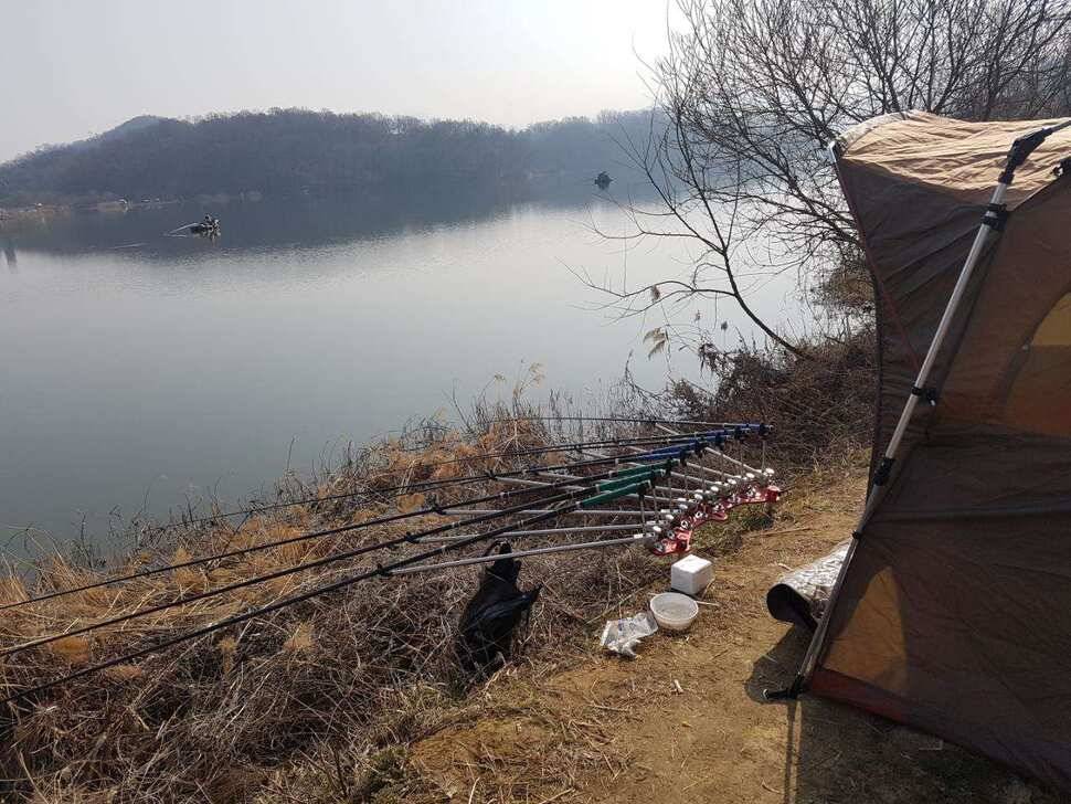 음성권 (조황조행기 - 낚시점조황)