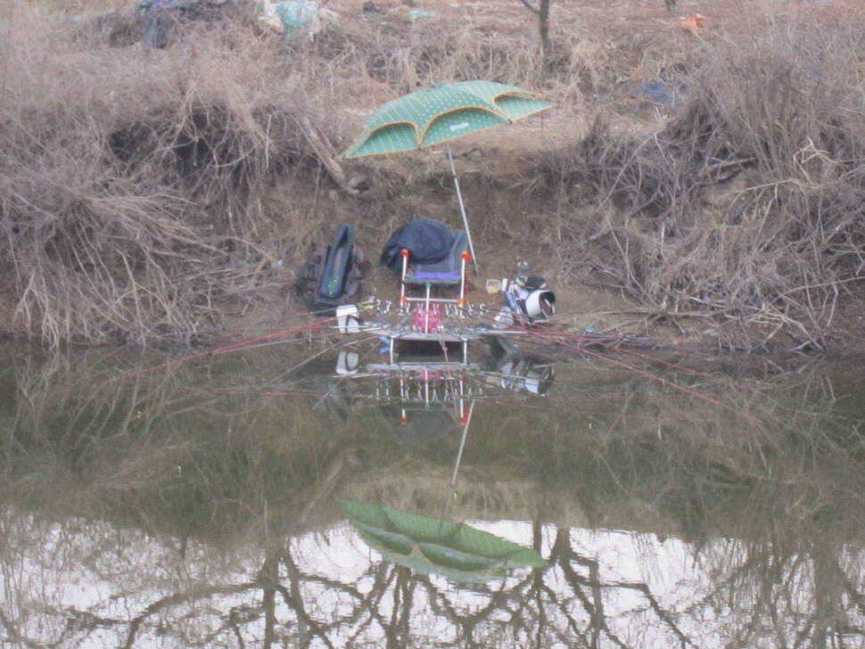 영천권 조황이 조금씩 살아나고 있습니다 (조황조행기 - 낚시점조황)