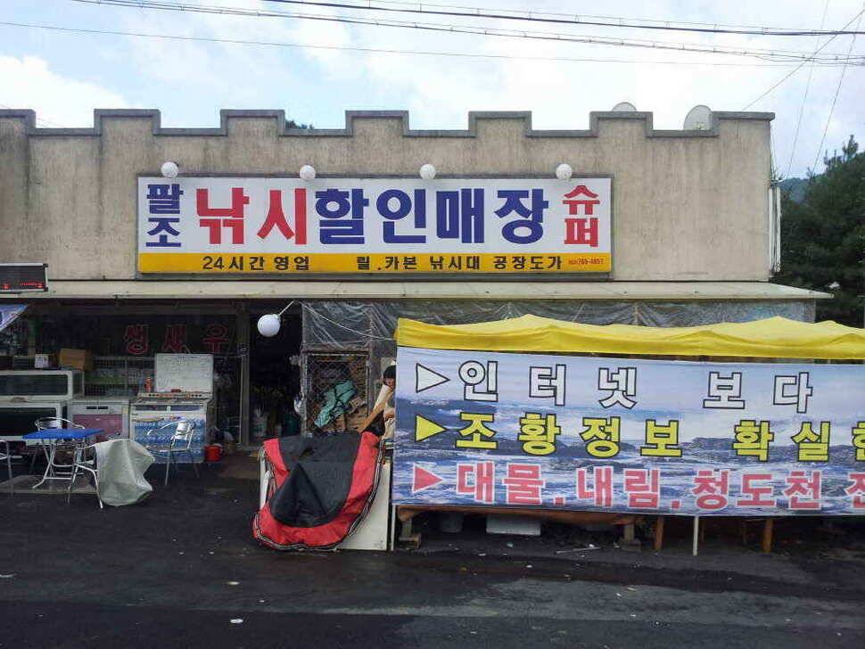 청도권 대박 호 조황 계속 이어집니다9치이상 100여수 (조황조행기 - 낚시점조황)