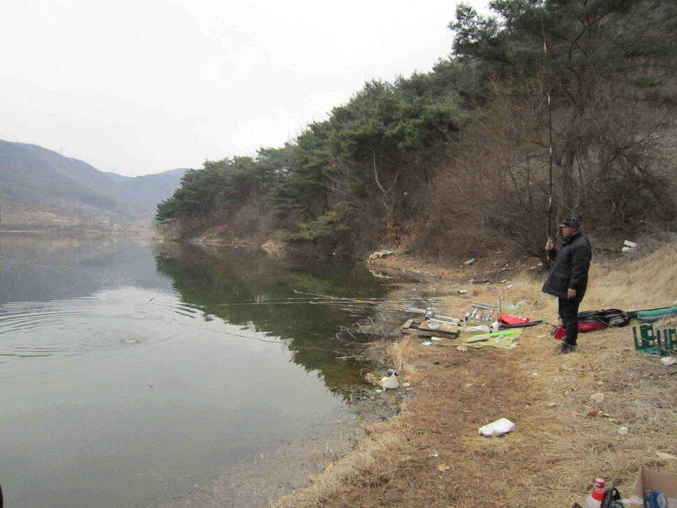 영천ic낚시 조황입니다 (조황조행기 - 낚시점조황)