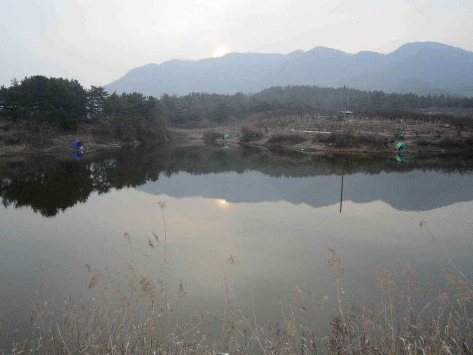 영천권 조황이 조금씩 살아나고 있습니다 (조황조행기 - 낚시점조황)