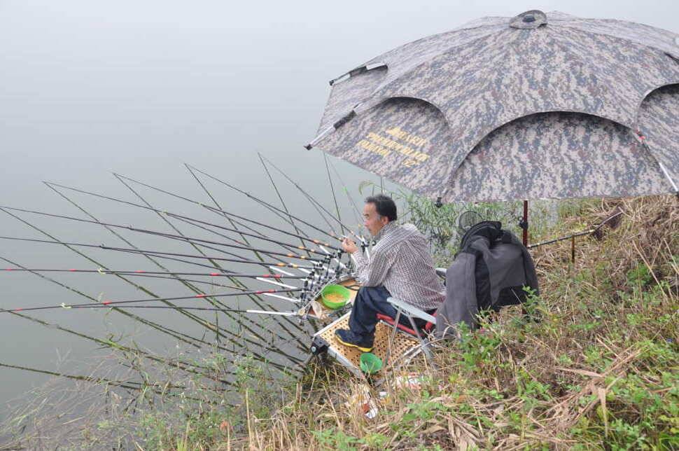 창녕권 조황 (조황조행기 - 낚시점조황)